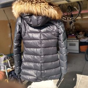 Nicole benisti nb series